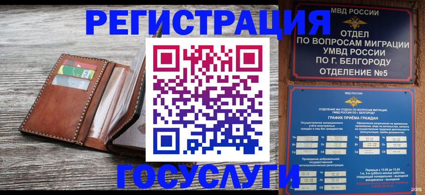 временная регистрация гарантия в Николаевске